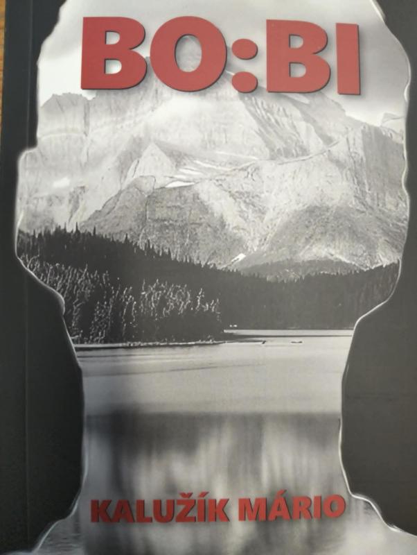 BO:BI